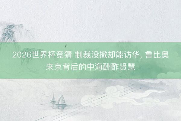 2026世界杯竞猜 制裁没撤却能访华， 鲁比奥来京背后的中海酬酢贤慧