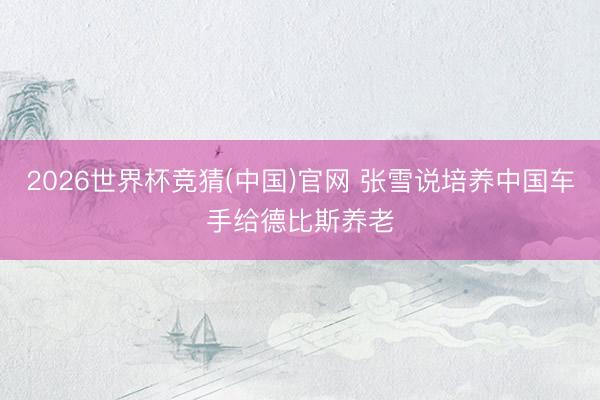 2026世界杯竞猜(中国)官网 张雪说培养中国车手给德比斯养老