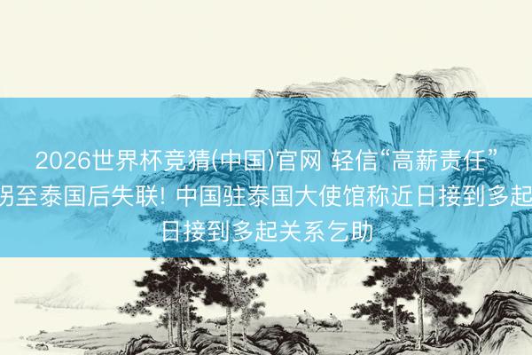 2026世界杯竞猜(中国)官网 轻信“高薪责任”等， 被诱拐至泰国后失联! 中国驻泰国大使馆称近日接到多起关系乞助