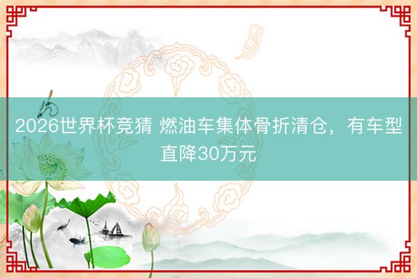 2026世界杯竞猜 燃油车集体骨折清仓，有车型直降30万元