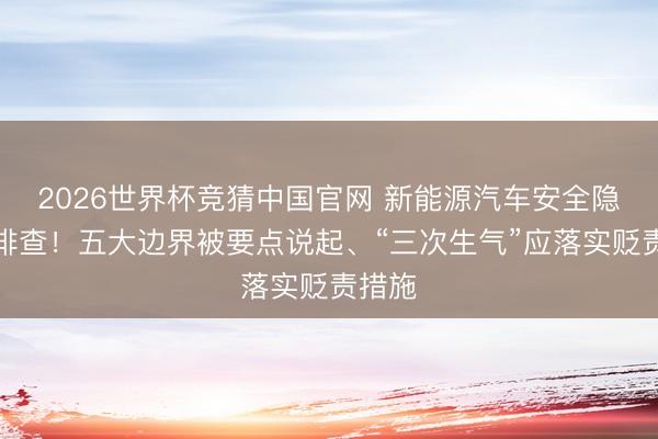 2026世界杯竞猜中国官网 新能源汽车安全隐患大排查！五大边界被要点说起、“三次生气”应落实贬责措施