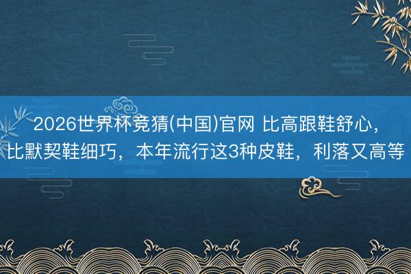 2026世界杯竞猜(中国)官网 比高跟鞋舒心,比默契鞋细巧,本年流行这3种皮鞋,利落又高等
