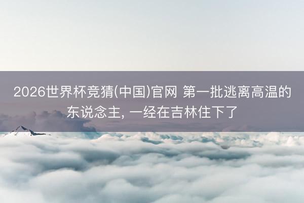 2026世界杯竞猜(中国)官网 第一批逃离高温的东说念主， 一经在吉林住下了