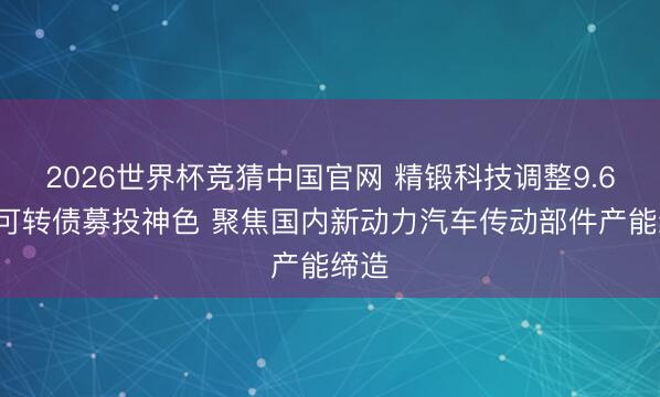 2026世界杯竞猜中国官网 精锻科技调整9.68亿可转债募投神色 聚焦国内新动力汽车传动部件产能缔造