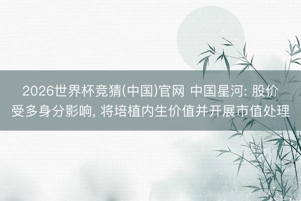 2026世界杯竞猜(中国)官网 中国星河: 股价受多身分影响， 将培植内生价值并开展市值处理