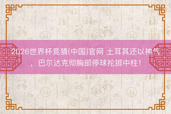 2026世界杯竞猜(中国)官网 土耳其还以神气，巴尔达克彻胸部停球抡掷中柱！