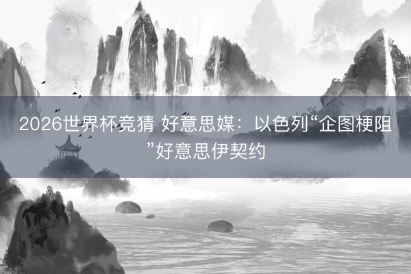 2026世界杯竞猜 好意思媒：以色列“企图梗阻”好意思伊契约