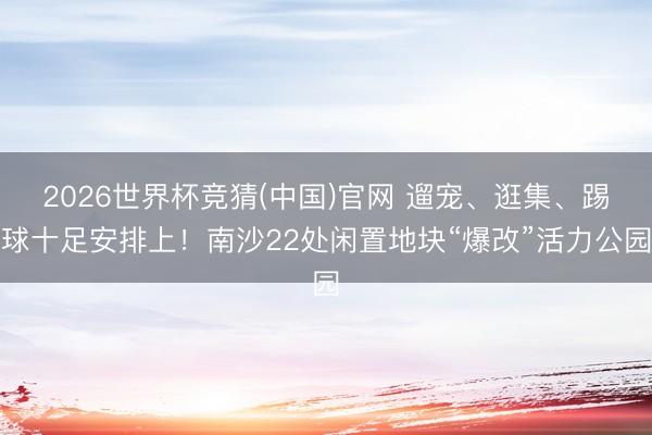 2026世界杯竞猜(中国)官网 遛宠、逛集、踢球十足安排上!南沙22处闲置地块“爆改”活力公园