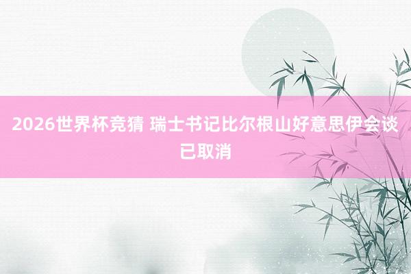 2026世界杯竞猜 瑞士书记比尔根山好意思伊会谈已取消
