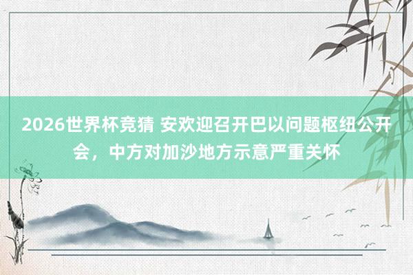 2026世界杯竞猜 安欢迎召开巴以问题枢纽公开会，中方对加沙地方示意严重关怀