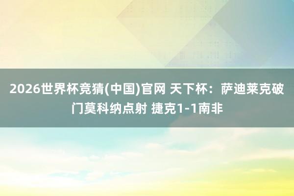 2026世界杯竞猜(中国)官网 天下杯:萨迪莱克破门莫科纳点射 捷克1-1南非